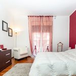 Rent 3 bedroom apartment of 100 m² in Milazzo
