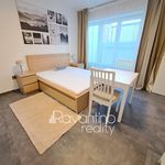 Rent 1 bedroom apartment of 21 m² in Brno