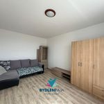 Rent 1 bedroom apartment of 36 m² in Krupka