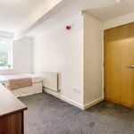 Rent 3 bedroom student apartment in Ballasalla