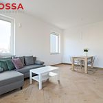 Wynajmij 2 sypialnię apartament z 54 m² w Łódź