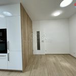 Rent 1 bedroom apartment of 54 m² in České Budějovice