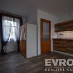 Rent 1 bedroom apartment of 24 m² in Štipoklasy
