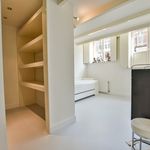 Rent 2 bedroom apartment of 150 m² in Amsterdam