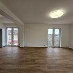 Rent 2 bedroom apartment of 72 m² in Plzeň