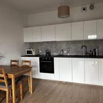 Wynajmij 2 sypialnię apartament z 44 m² w Poznan