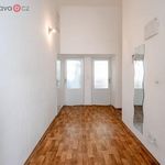Rent 1 bedroom apartment of 838 m² in Brno