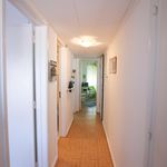 Rent 3 bedroom apartment in Venda Nova