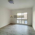 Rent 1 bedroom apartment of 966 m² in Dubai