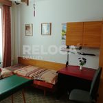 Rent 1 bedroom apartment of 50 m² in Kralupy nad Vltavou