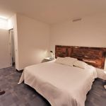 Rent 3 bedroom apartment of 152 m² in Madrid