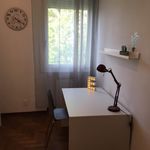 Affitto 4 camera appartamento in Padova