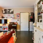Rent a room of 75 m² in Milano