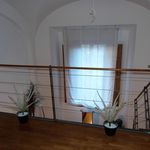 Affitto 5 camera appartamento di 120 m² in Firenze