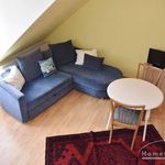 Rent 1 bedroom apartment of 25 m² in Hannover