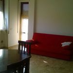 Affitto 1 camera appartamento di 65 m² in Frosinone
