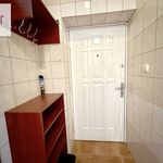 Rent 1 bedroom apartment of 30 m² in Krakow