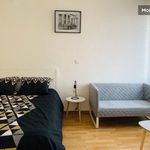 Rent 1 bedroom apartment of 35 m² in Valenciennes