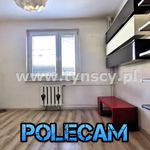 Rent 2 bedroom apartment of 54 m² in Piekary Śląskie