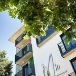 Rent 1 bedroom apartment of 31 m² in Palma