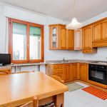 Rent 4 bedroom apartment in Padua
