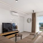 Rent 3 bedroom house of 85 m² in Opatija