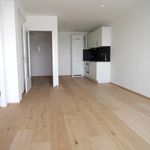Miete 2 Schlafzimmer wohnung von 56 m² in Vienna