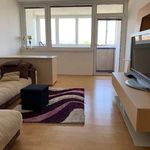 Rent 3 bedroom apartment of 93 m² in Linz