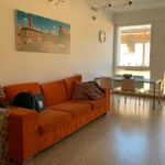 Rent 3 bedroom apartment in Bologna