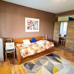 Rent 1 bedroom apartment of 300 m² in Číhošť