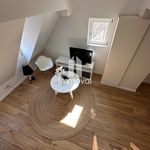 Rent 1 bedroom apartment of 22 m² in STRASBOURG