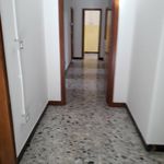Rent 5 bedroom apartment of 142 m² in L'Aquila