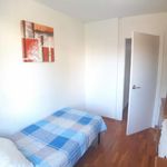 Rent 4 bedroom apartment in Murcia