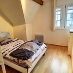 Rent 3 bedroom apartment of 54 m² in OBERNAI