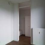 Rent a room of 32 m² in 's-Gravenhage