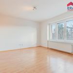 Rent 1 bedroom apartment of 39 m² in Prostějov