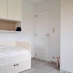 Rent 5 bedroom house of 252 m² in Tervuren