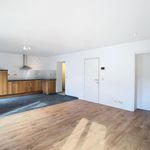 Rent 1 bedroom apartment of 66 m² in Leuven