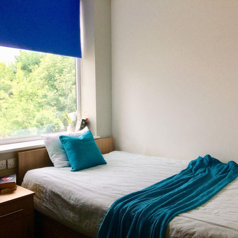 Book London House High Wycombe Student Accommodation | Amber