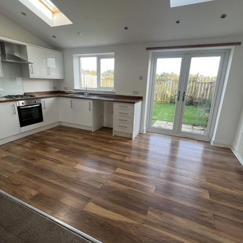 Semi-detached house to rent in Togston Road, North Broomhill, Morpeth NE65 Bolton