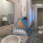 Rent 3 bedroom apartment of 70 m² in Pistoia