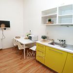 Rent 1 bedroom apartment of 14 m² in Brno