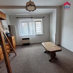 Rent 1 bedroom apartment of 23 m² in Praha