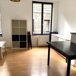 Rent 1 bedroom apartment of 230 m² in Lille