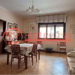 Rent 4 bedroom apartment of 150 m² in Trani