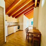 Rent 2 bedroom apartment of 61 m² in Comerio