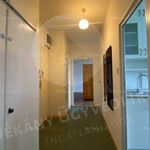 Rent 2 bedroom apartment of 50 m² in Pécs