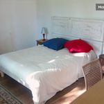 Rent 1 bedroom apartment of 50 m² in Saint-Pierre-des-Corps