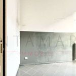 Rent 3 bedroom apartment of 115 m² in Milano