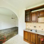 Rent 2 bedroom apartment in Kvasiny